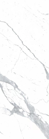 LAMFF00319_IT