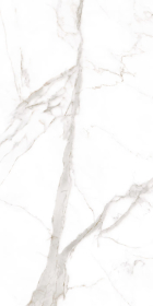 LAMFF00296_IT