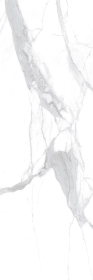 LAMFF00798_IT