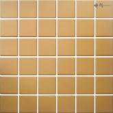 Мозаика Porcelain P-573 матовая 306x306