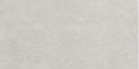 Керамогранит Naedine Light Gray SRx10 60x120