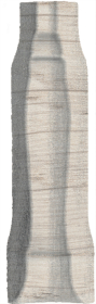 SG5113/AGI