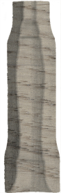 SG5263/AGI