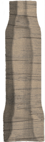 SG5264/AGI