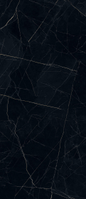 Керамогранит Nero Ardi Pulido 5.6 mm 120x278