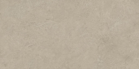 Керамогранит Boost Vision Ash Matt 60x120