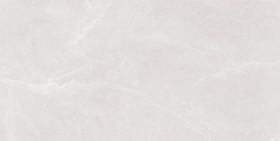 Керамогранит Shell Ice Struct. 60x120