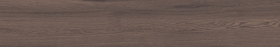 Керамогранит Forest Umber Matt 20x120