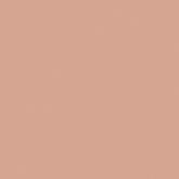 27681 Керамогранит Bauhome Rose 20х20