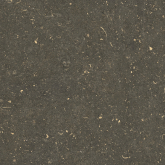 Керамогранит Rinascenza Arena Platino Matte 60x60