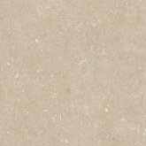 Керамогранит Rinascenza Arena Conchiglia Grip 20mm 120x120