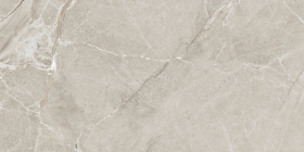 Керамогранит Colemanite Stone Grey Rect 60x120