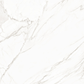 Керамогранит Trend Line Calacatta матовый 800x800