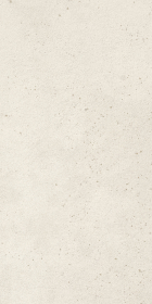 Керамогранит Replay 36WX RM 30x60