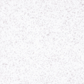 BVTE10360KRA Керамогранит Marble Porcelain Terrazzo bianco MAT 60x60