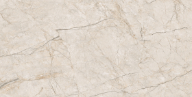 Керамогранит Zander Bianco Carving 60x120