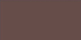 Керамогранит Моноколор Коричневый матовый ректифицированный 300х600