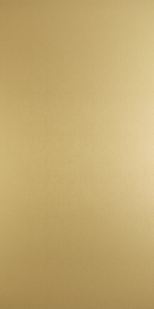 Керамогранит Wanderwall Golden Slab Natural 3.5 mm 50x100