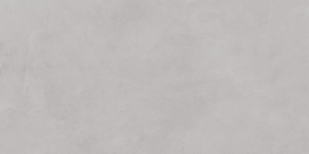 Керамогранит Мечта Серый 50x100