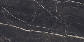 Керамогранит Evolic Nero 60x120
