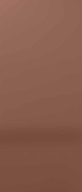 Декор Versace Harmony Bronze Lux Rett 120x280
