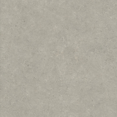 Керамогранит Italon Статус Карбон Натуральный 120x120