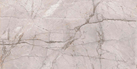 Керамогранит Alpas Euro Premium Marble Dragon Grey Polished 60x120