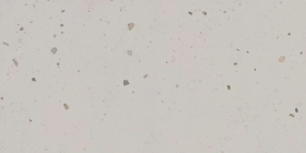 Керамогранит Kerama Marazzi Тараскон Серый светлый матовый обрезной 60x119.5x0.9