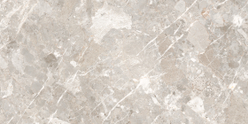 255834 Керамогранит Tau Ceramica Belcastel Silver Rec 60x120