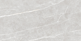 Керамогранит Tau Ceramica Elite Silver Matt 60x120