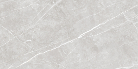 Керамогранит Tau Ceramica Elite Silver Pul 60x120