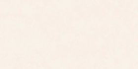 Керамогранит EVOtile Simple Light Matt 60x120