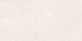 Керамогранит EVOtile Stone Taupe Glossy 60x120