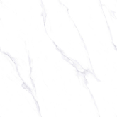 Керамогранит EVOtile Calacatta Grey Matt 60x60