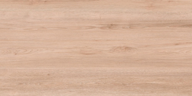 Керамогранит EVOtile Wood Natural Matt 60x120