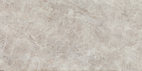 Керамогранит Tubadzin Root Grey Mat 119.8x59.8