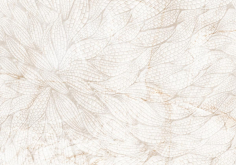 Плитка Axima Тиса Флорах8 28x40