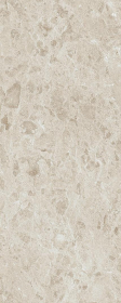 Керамогранит Laminam Russia Rare Pietra di Gre DNA 5 120x300