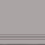 Steptrade/RW03_NS/30x60x10 - фото 1