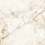 36CN30P - фото 1