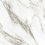 GFA57BLT07L - фото 8