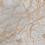 PR212 - фото 1