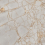 PR212 - фото 2