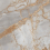 PR212 - фото 4