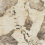 AFXV - фото 1
