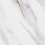 SG564522R - фото 1