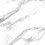 ID9079g082LLR - фото 6
