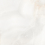 ID9075g091LLR - фото 6