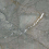 ID9092b089LLR - фото 5