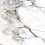 K949747LPR01VTER - фото 1